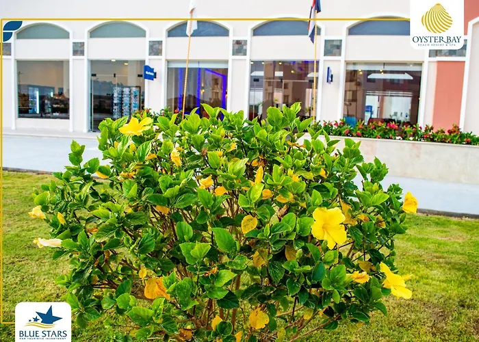 Oyster Bay * Marsa Alem
